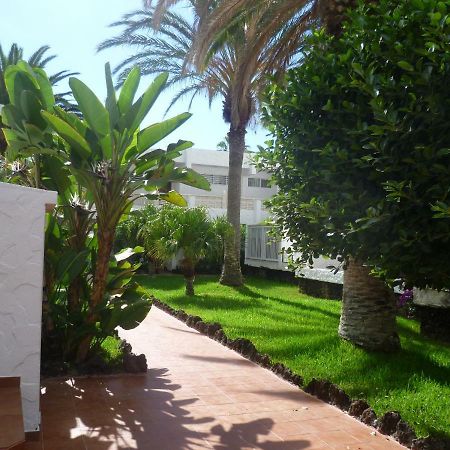 Elana Apartment With Free Wifi Costa Del Silencio Extérieur photo