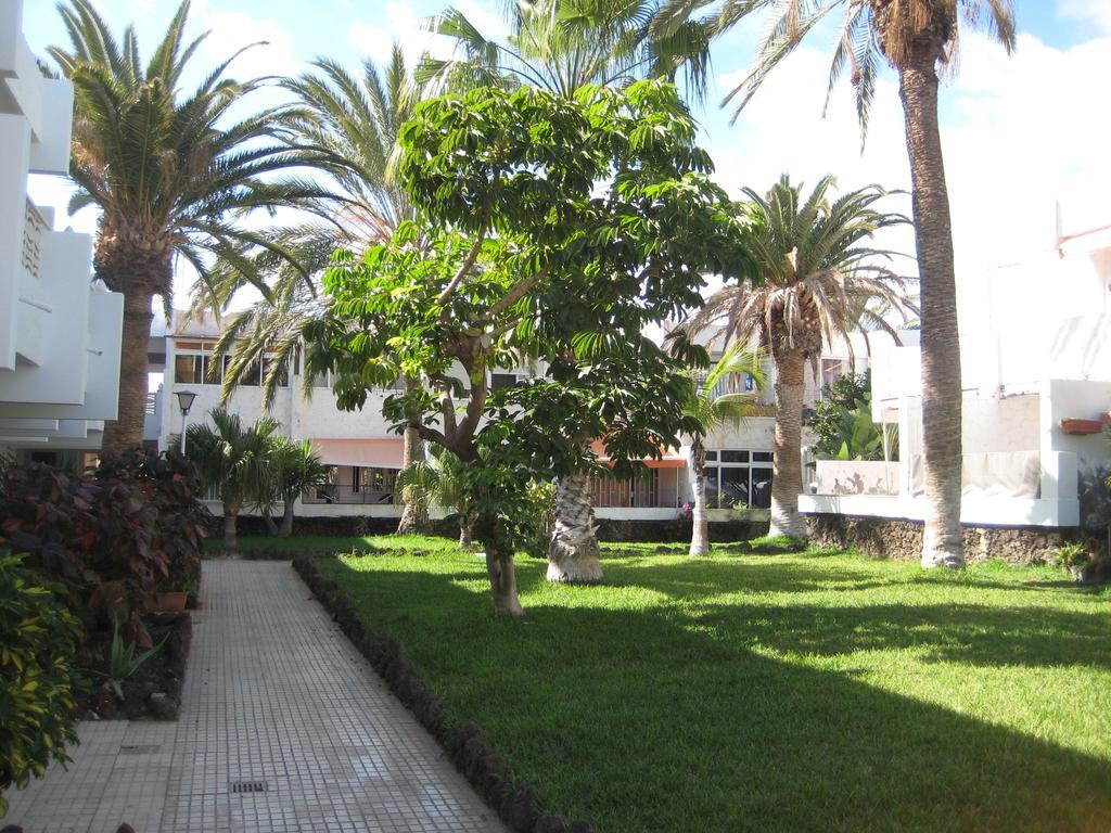 Elana Apartment With Free Wifi Costa Del Silencio Extérieur photo